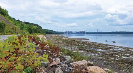 Infrastructures végétalisées et grands projets